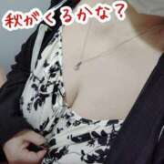 ヒメ日記 2026/09/15 20:10 投稿 まき 熟女総本店 日本橋ミナミエリア店