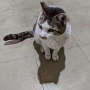 ヒメ日記 2025/04/04 07:29 投稿 なゆ 熟女家 豊中蛍池店