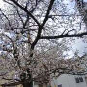 なゆ オッス！おら悟空❗ 熟女家 豊中蛍池店