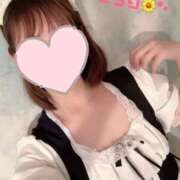 ヒメ日記 2025/08/29 10:54 投稿 きらり　奥様 SUTEKIな奥様は好きですか?