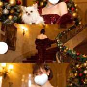 ヒメ日記 2025/12/21 09:33 投稿 きらり　奥様 SUTEKIな奥様は好きですか?