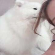 ヒメ日記 2025/05/25 15:44 投稿 【G】まお ウルトラセレブリティ