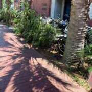 ヒメ日記 2025/07/31 15:34 投稿 【G】まお ウルトラセレブリティ