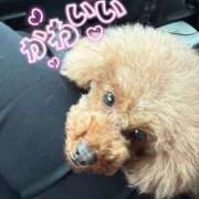 ヒメ日記 2026/01/20 15:26 投稿 【G】まお ウルトラセレブリティ