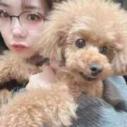 ヒメ日記 2026/03/31 15:04 投稿 【G】まお ウルトラセレブリティ