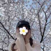 ヒメ日記 2026/04/01 21:04 投稿 【G】まお ウルトラセレブリティ