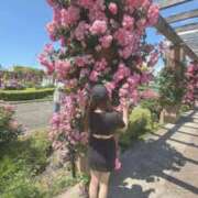 ヒメ日記 2026/05/18 20:04 投稿 【G】まお ウルトラセレブリティ