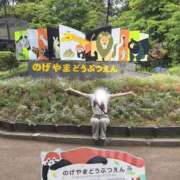 ヒメ日記 2026/06/17 17:17 投稿 【G】まお ウルトラセレブリティ