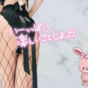 ヒメ日記 2025/02/20 00:04 投稿 はなの　奥様 SUTEKIな奥様は好きですか?