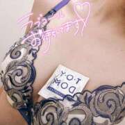 ヒメ日記 2025/02/23 06:33 投稿 はなの　奥様 SUTEKIな奥様は好きですか?