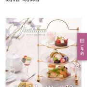 ヒメ日記 2025/03/03 15:34 投稿 はなの　奥様 SUTEKIな奥様は好きですか?