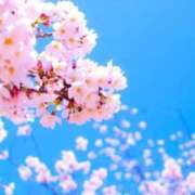 ヒメ日記 2025/03/22 16:18 投稿 はなの　奥様 SUTEKIな奥様は好きですか?