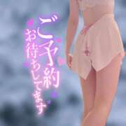 ヒメ日記 2025/04/19 12:34 投稿 はなの　奥様 SUTEKIな奥様は好きですか?