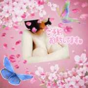 ヒメ日記 2025/04/21 15:33 投稿 はなの　奥様 SUTEKIな奥様は好きですか?