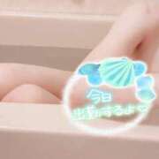 ヒメ日記 2025/05/15 10:03 投稿 はなの　奥様 SUTEKIな奥様は好きですか?