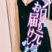 ヒメ日記 2025/07/04 08:57 投稿 はなの　奥様 SUTEKIな奥様は好きですか?