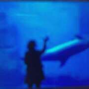 ヒメ日記 2025/07/09 17:33 投稿 はなの　奥様 SUTEKIな奥様は好きですか?