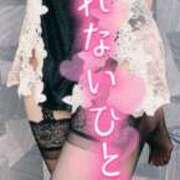 ヒメ日記 2025/07/12 08:49 投稿 はなの　奥様 SUTEKIな奥様は好きですか?