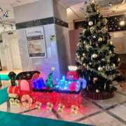 ヒメ日記 2025/11/18 20:03 投稿 はなの　奥様 SUTEKIな奥様は好きですか?