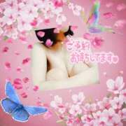 ヒメ日記 2026/02/21 09:13 投稿 はなの　奥様 SUTEKIな奥様は好きですか?