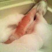 ヒメ日記 2026/03/06 08:27 投稿 はなの　奥様 SUTEKIな奥様は好きですか?