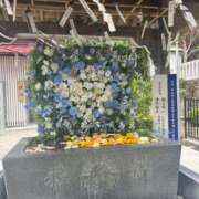 ヒメ日記 2025/08/05 08:09 投稿 みなこ　奥様 SUTEKIな奥様は好きですか?