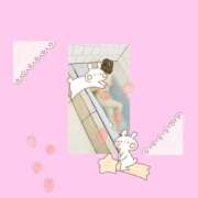 ヒメ日記 2025/03/12 08:55 投稿 まお 熟女の風俗最終章 宇都宮店