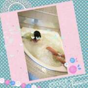 ヒメ日記 2025/06/26 09:41 投稿 まお 熟女の風俗最終章 宇都宮店