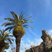 ヒメ日記 2026/01/07 09:45 投稿 なつ 熟女家 豊中蛍池店