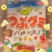 ヒメ日記 2025/06/02 07:57 投稿 ねねか奥様 SUTEKIな奥様は好きですか?