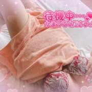 ヒメ日記 2025/03/20 14:23 投稿 久保田　あんじゅ エテルナ京都