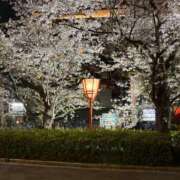 ヒメ日記 2025/04/08 11:40 投稿 久保田　あんじゅ エテルナ京都