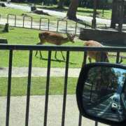 ヒメ日記 2025/06/28 09:45 投稿 久保田　あんじゅ エテルナ京都