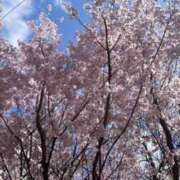 ヒメ日記 2025/04/07 18:19 投稿 よつば　奥様 SUTEKIな奥様は好きですか?