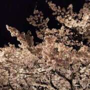 ヒメ日記 2025/04/18 10:18 投稿 よつば　奥様 SUTEKIな奥様は好きですか?