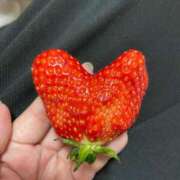 ヒメ日記 2025/05/31 07:12 投稿 よつば　奥様 SUTEKIな奥様は好きですか?