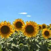 ヒメ日記 2025/08/22 10:36 投稿 よつば　奥様 SUTEKIな奥様は好きですか?