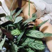 ヒメ日記 2025/04/24 08:06 投稿 すず かりんと神田