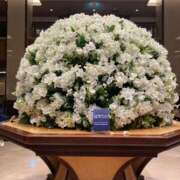 ヒメ日記 2025/05/21 08:00 投稿 すず かりんと神田