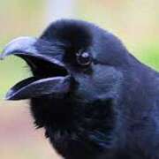 ヒメ日記 2025/07/17 10:08 投稿 すず かりんと神田