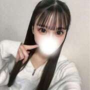 ヒメ日記 2025/04/11 13:59 投稿 ラムネ 今こそ!にゃんにゃん学園