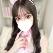 ラムネ ‪‪❤︎‬ラスト1枠‪‪❤︎‬ 今こそ!にゃんにゃん学園