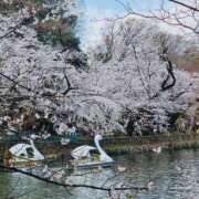 ヒメ日記 2026/03/27 17:33 投稿 こなみ　奥様 SUTEKIな奥様は好きですか?