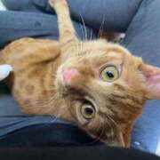 ヒメ日記 2025/10/10 10:18 投稿 あゆ 甲府人妻隊