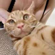 ヒメ日記 2025/10/22 10:31 投稿 あゆ 甲府人妻隊