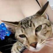 ヒメ日記 2025/11/01 09:53 投稿 あゆ 甲府人妻隊