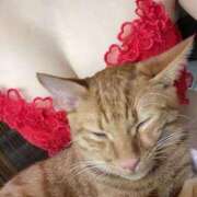 ヒメ日記 2025/11/16 11:17 投稿 あゆ 甲府人妻隊