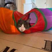 ヒメ日記 2025/11/27 11:42 投稿 あゆ 甲府人妻隊