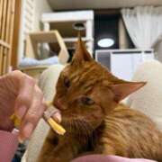 ヒメ日記 2026/02/25 10:51 投稿 あゆ 甲府人妻隊