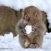 ヒメ日記 2025/03/07 12:12 投稿 なおみ　奥様 SUTEKIな奥様は好きですか?